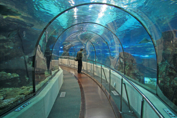 Barcelona Aquarium: Fascinating and Educational 2025