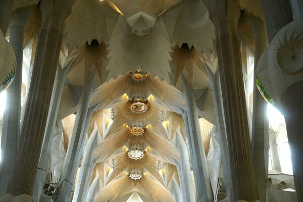 Check Official Website for Sagrada Familia Hours