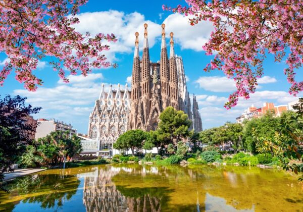 Indulge in Barcelona's Wine Scene while Admiring the Majestic Sagrada Familia 2025