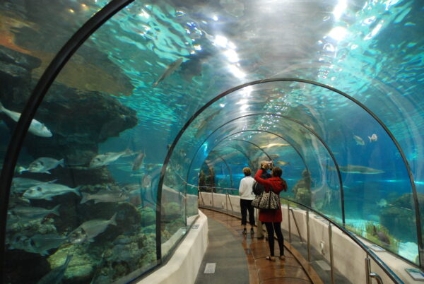 L'Aquarium de Barcelona: A Must-Visit Marine Attraction in Port Vell, Spain 2025