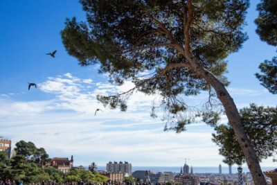 Sagrada Familia in Barcelona to be completed by 2026