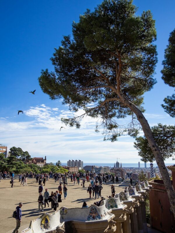 Sagrada Familia in Barcelona to be completed by 2026 2025