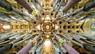 Unique Organic Architecture at the Basilica 2025