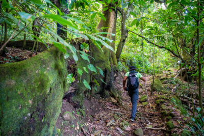 Exploring Montserrat: A Guide to the Walking Trails and Hiking Routes