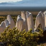 Finding the Enigma: The Quest for the World's Largest Ghost Town