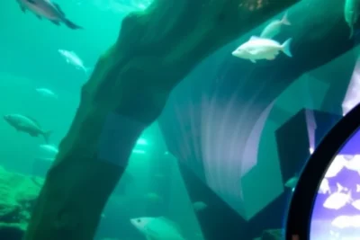 Barcelona Aquarium: Explore the Underwater World 2025