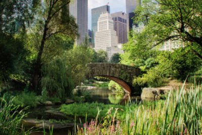 Explorando los Secretos de Nueva York: Más Allá de Times Square y Central Park 2025