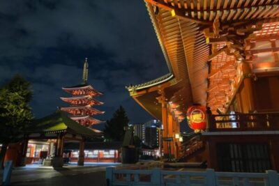 Japón: Descubriendo la Capital del Futuro. 2025