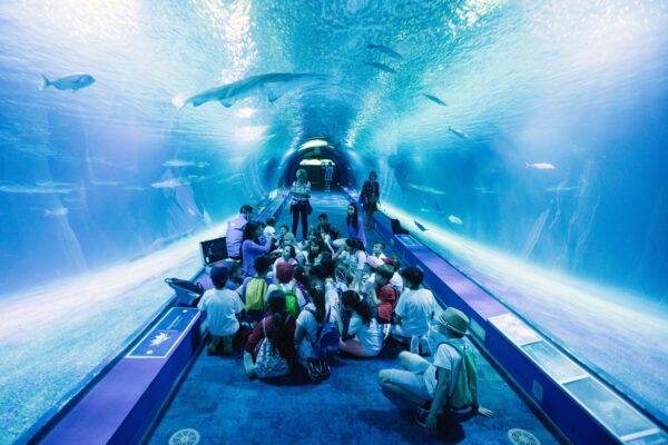 Actividades y planes divertidos para niños en Valencia fin de semana 2025