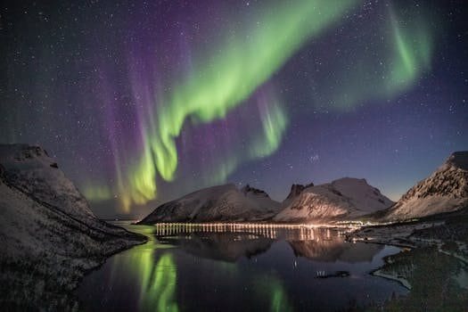 47 excursiones y actividades en fiordos noruegos 2025
