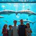 Acuario de Barcelona: ticket de entrada sin colas