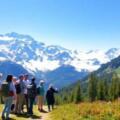 Excursiones, visitas guiadas y actividades en Alpes suizos