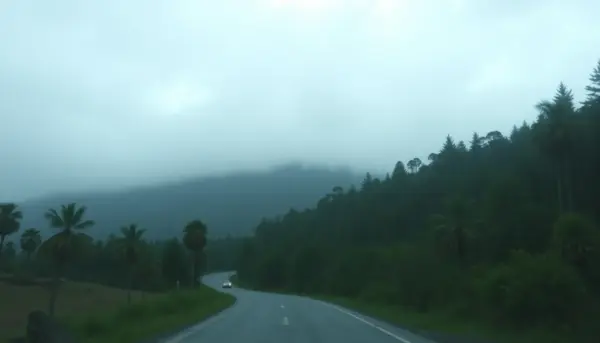 Qué hacer en un viaje con lluvia 2026