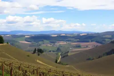 Las regiones vinícolas más hermosas de Francia 2025