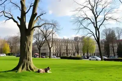 Mejores lugares para hacer un picnic en París 2025