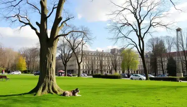 Mejores lugares para hacer un picnic en París 2025