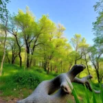 Naturaleza Encendida 2024 en Parque Tierno Galván: horarios y precios