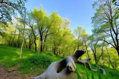 Naturaleza Encendida 2024 en Parque Tierno Galván: horarios y precios 2025