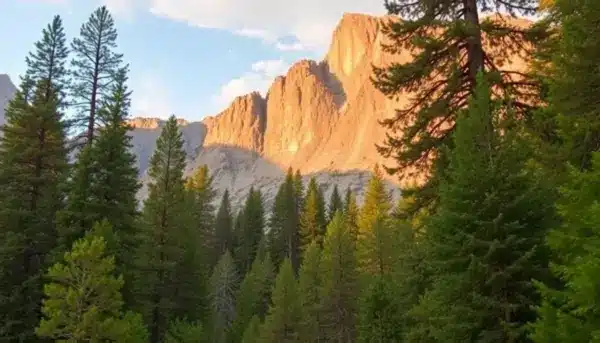 Visita el Parque Yosemite en California: qué ver y hacer 2025 Visita el Parque Yosemite en California: qué ver y hacer 2025