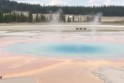 Visita al parque de Yellowstone: nuestra experiencia y qué ver 2025