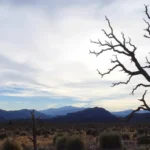 Qué ver y hacer en el Valle de la Muerte en California