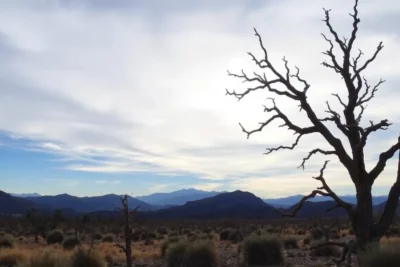 Qué ver y hacer en el Valle de la Muerte en California 2025