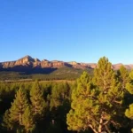 Qué hacer y ver en Flagstaff Arizona en un día