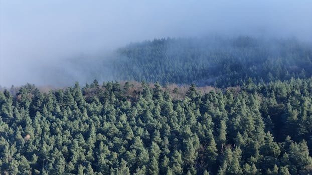 Qué ver en Alsacia: 10 lugares imprescindibles 2025