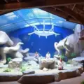 Guía para visitar Bioparc Fuengirola: horarios y precios
