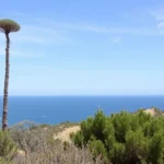 75 lugares imprescindibles para visitar en la Costa Oeste de EE. UU.