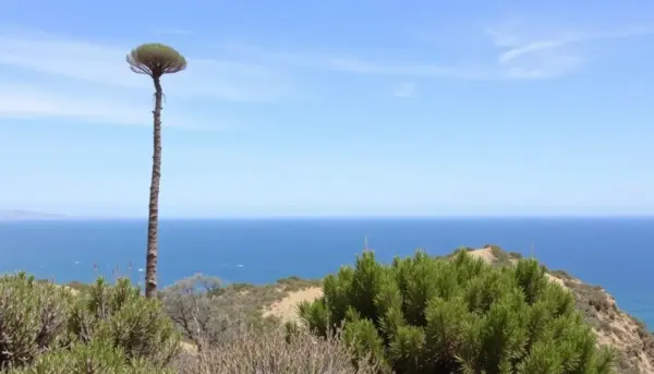 75 lugares imprescindibles para visitar en la Costa Oeste de EE. UU. 2025