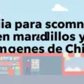 Guía para comprar en mercadillos y almacenes de China