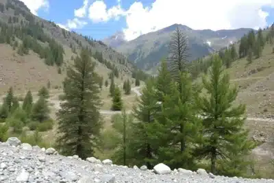 Senderismo en Garganta de las Nogaledas Valle Jerte guía completa 2025