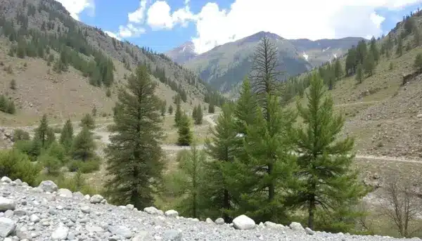 Senderismo en Garganta de las Nogaledas Valle Jerte guía completa 2025