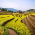 Terrazas de arroz Longji en Ping'an, cerca de Longsheng China