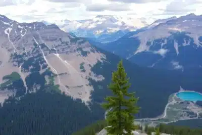Ruta por las Montañas Rocosas en Canadá y sus imperdibles 2025